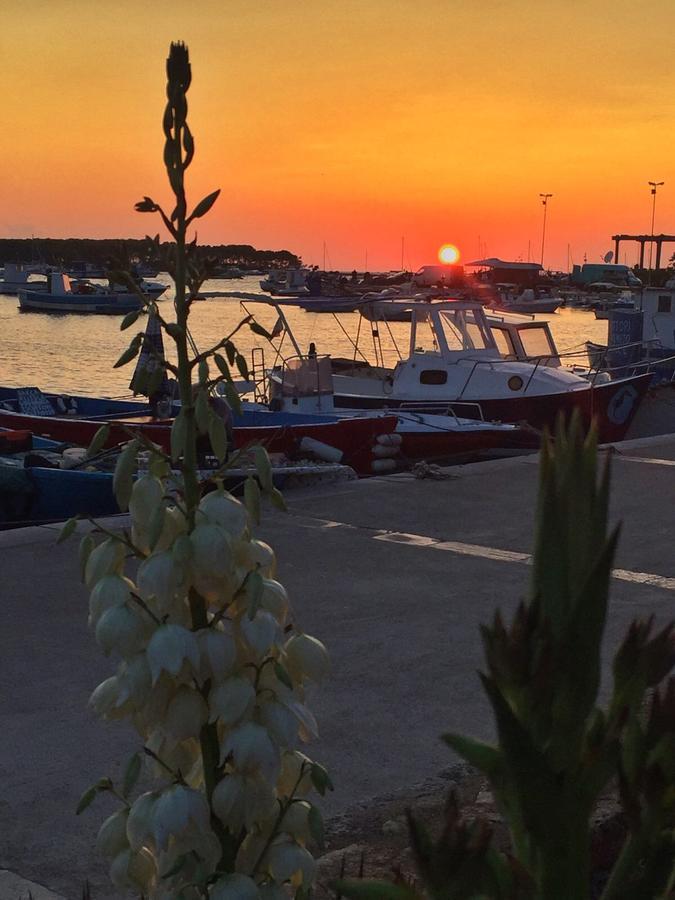 La Casa Di Ada E Gigi Vacanze Porto Cesareo Eksteriør bilde