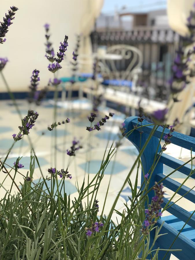 La Casa Di Ada E Gigi Vacanze Porto Cesareo Eksteriør bilde